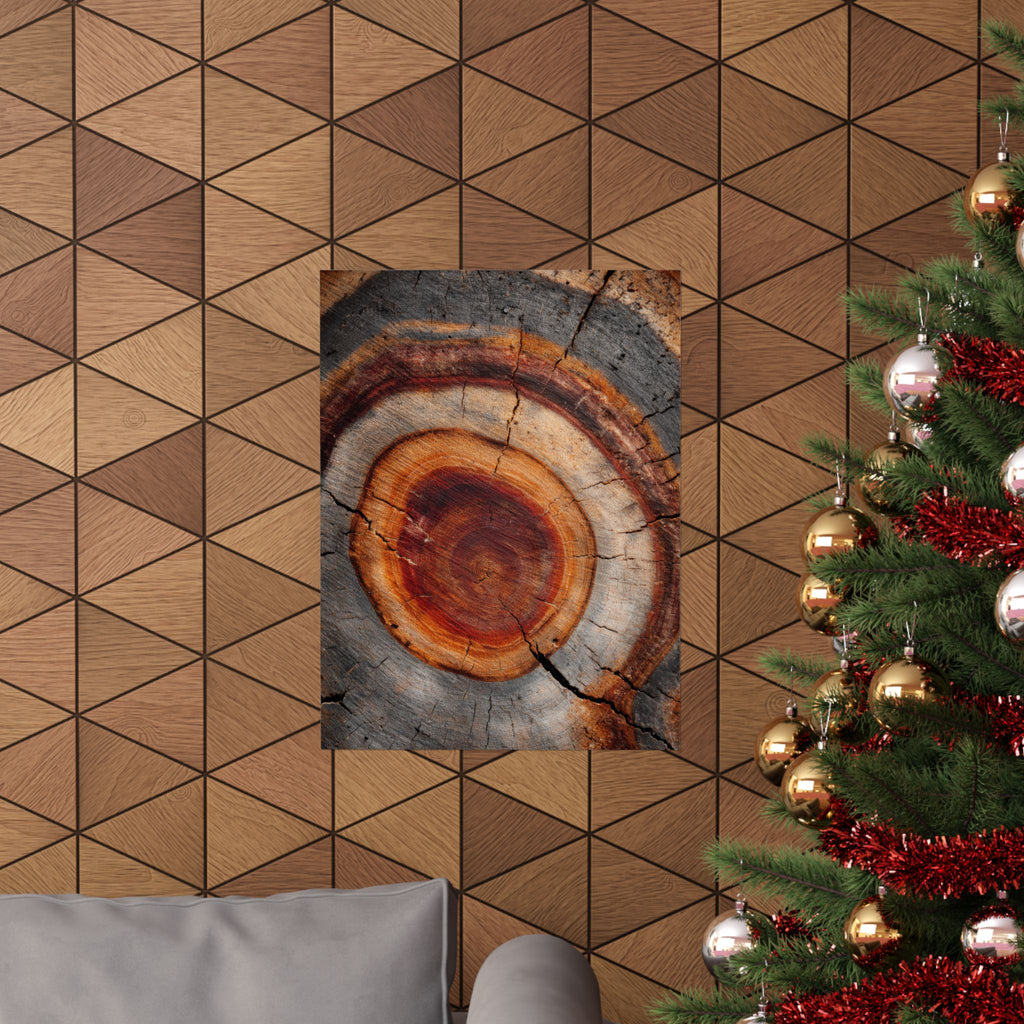 Tree Ring Wall Art | Rustic Wood Cross Section Print | Natural Growth Rings Poster | Farmhouse Forest Nature Photography Decor