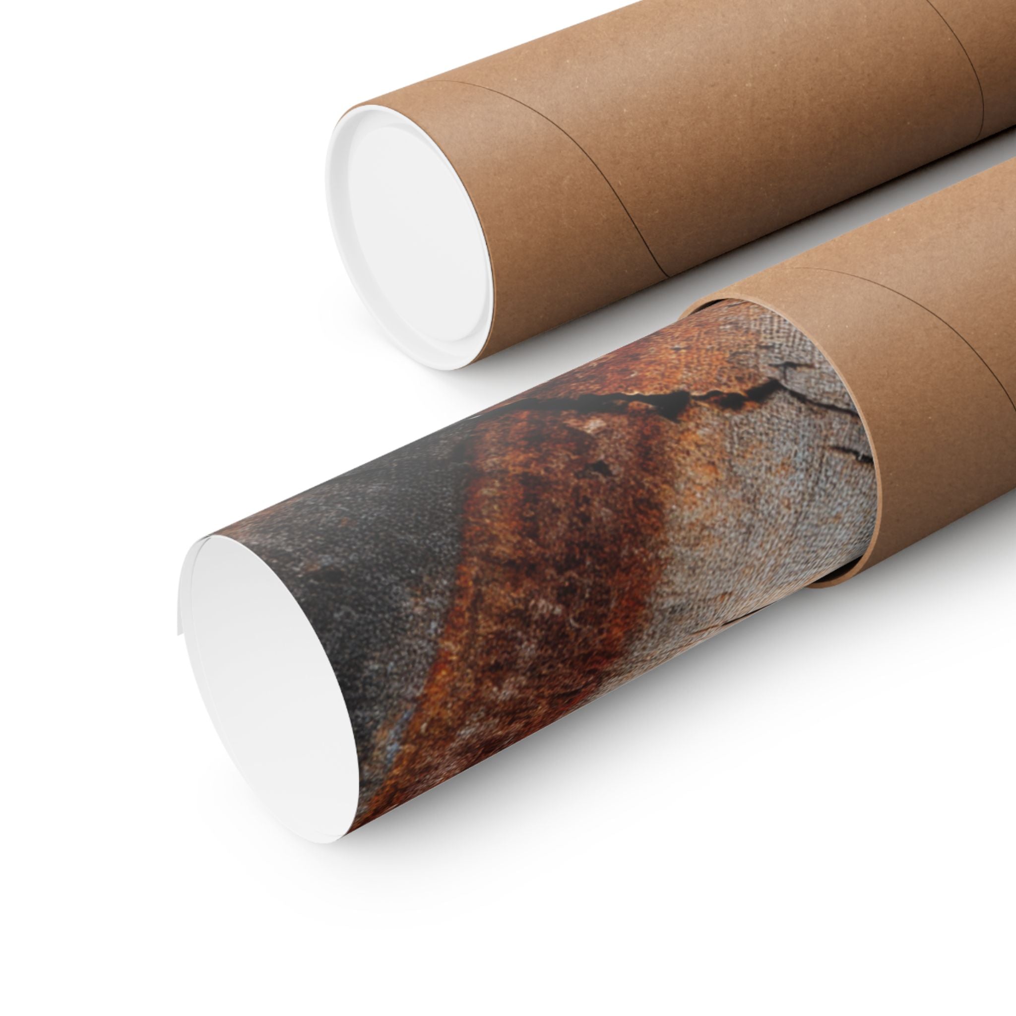 Tree Ring Wall Art | Rustic Wood Cross Section Print | Natural Growth Rings Poster | Farmhouse Forest Nature Photography Decor