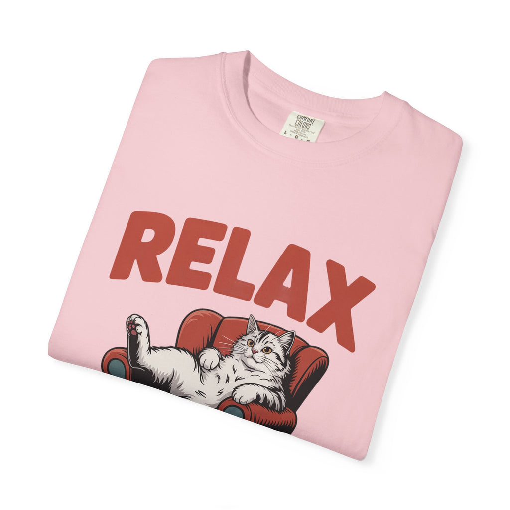 Funny Cat Shirt, Relax The Laundry Can Develop Character Tee, Retro Cat Lover Gift, Vintage Lazy Cat Graphic